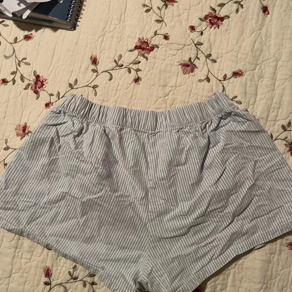 Brandy Melville Light Blue Striped Shorts - Picture 7 of 8